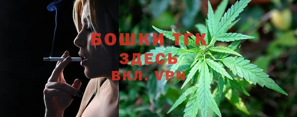 крисы Лагань