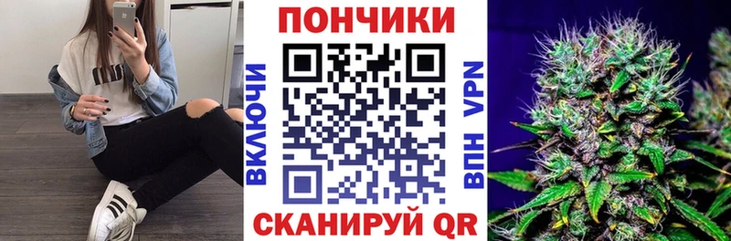 Купить где  Анжеро-Судженск  Бошки Шишки план 